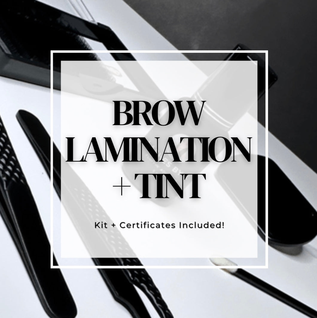 Brow Lamination + Tint Online Training
